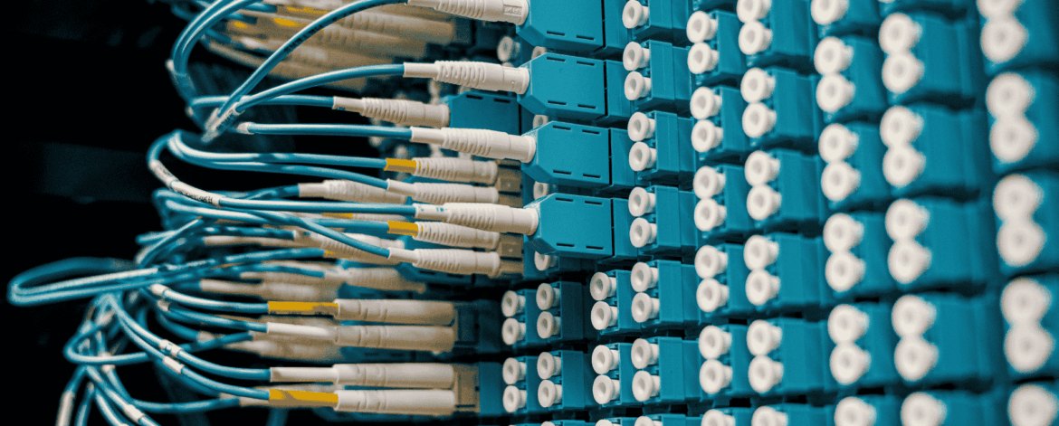 Close-up of a fiber-optic patch panel with rows of blue adapters and white-tipped cables neatly plugged in, highlighting high-speed network cabling.