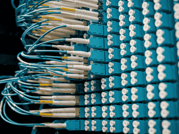 Close-up of a fiber-optic patch panel with rows of blue adapters and white-tipped cables neatly plugged in, highlighting high-speed network cabling.